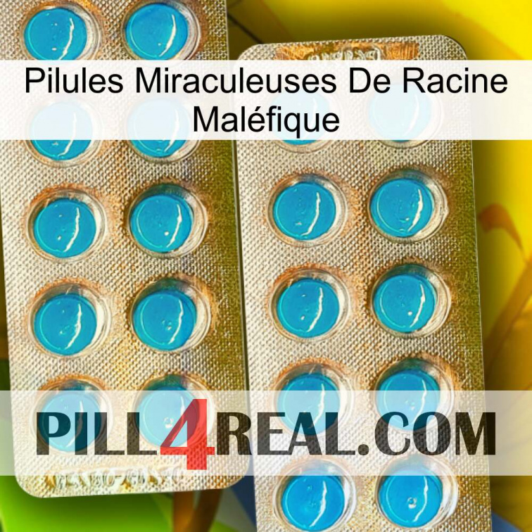 Pilules Miraculeuses De Racine Maléfique new08